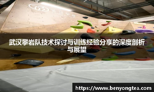 武汉攀岩队技术探讨与训练经验分享的深度剖析与展望